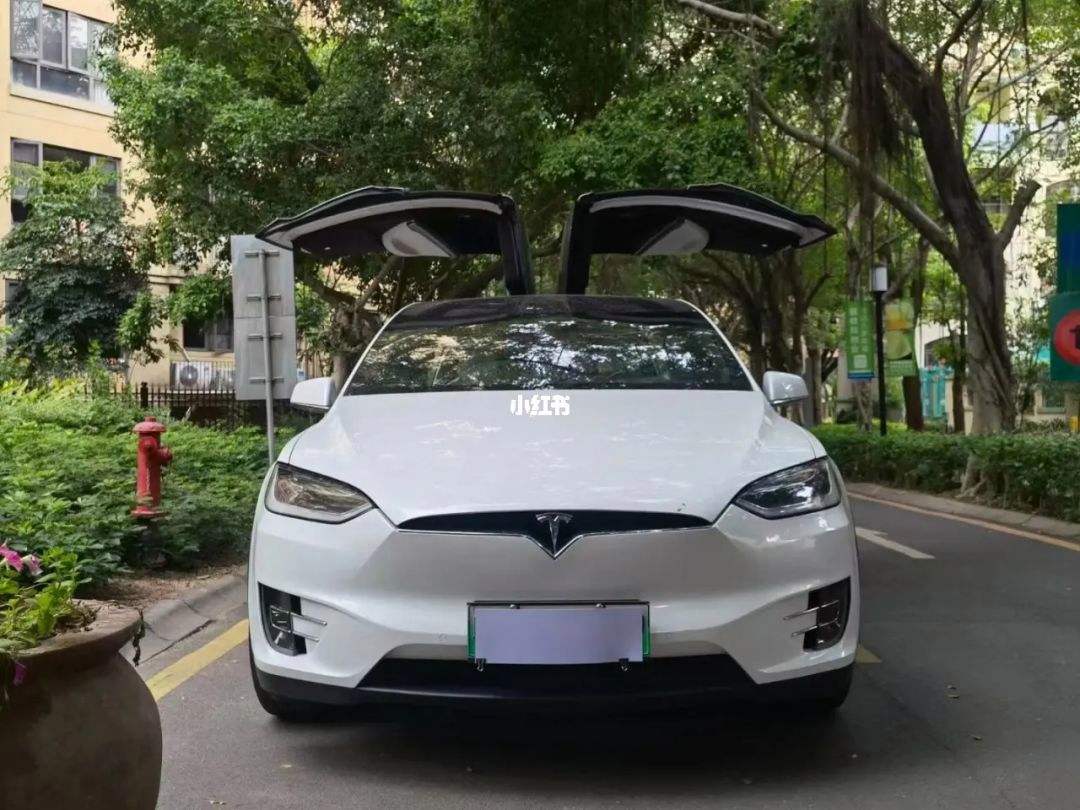 特斯拉毛豆x 特斯拉model x