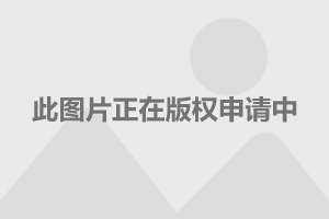 大众高尔夫敞篷 大众高尔夫敞篷车价格