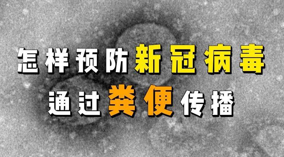 粪便有没有新冠病毒 新冠病毒拉的屎是什么颜色