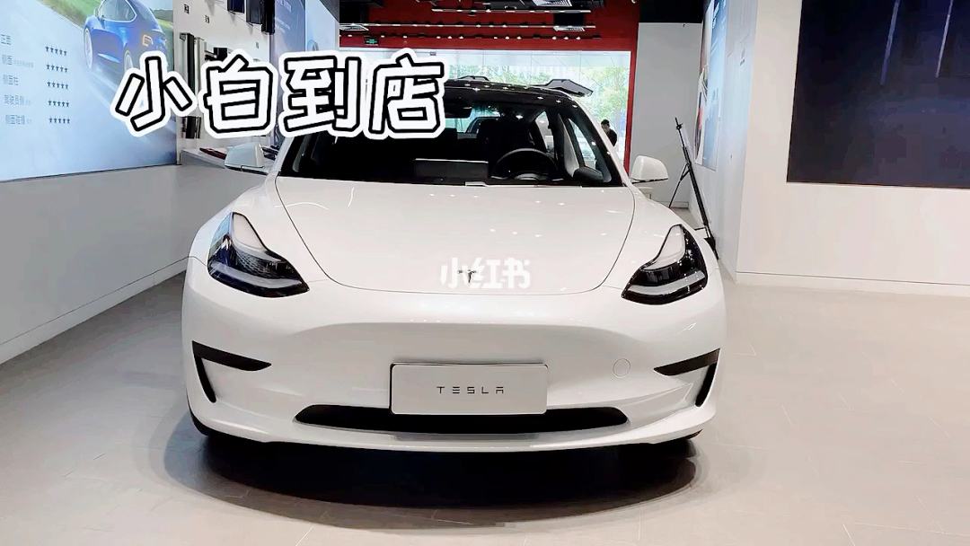 model3店里和网上买 model3和modely买哪个