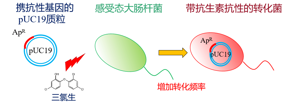 圣宁油新冠病毒 圣农有没有检测出新冠病毒