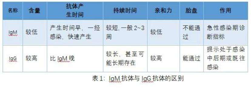 新冠病毒lgg指标高 新冠病毒抗体igg高了好不好