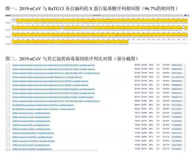 香港新冠病毒感染总数 今天香港确诊新冠病毒多少人