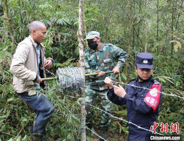 麻栗坡新冠病毒来源 新加坡发现新冠病毒不是病毒