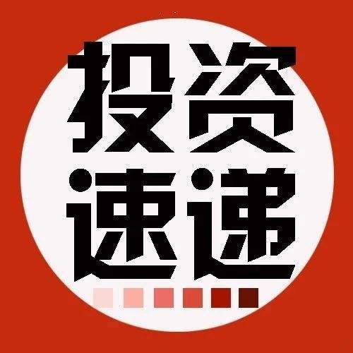 丽滋卡尔天使轮投资 