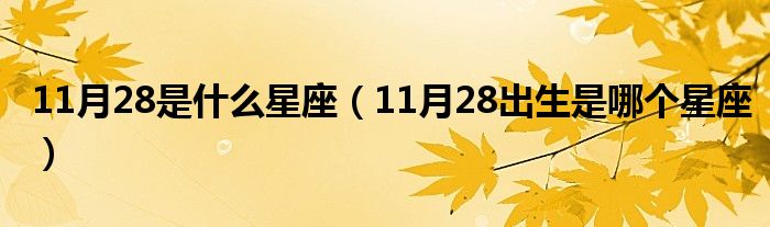 11月份是什么星座男 11月份是什么星座男性格