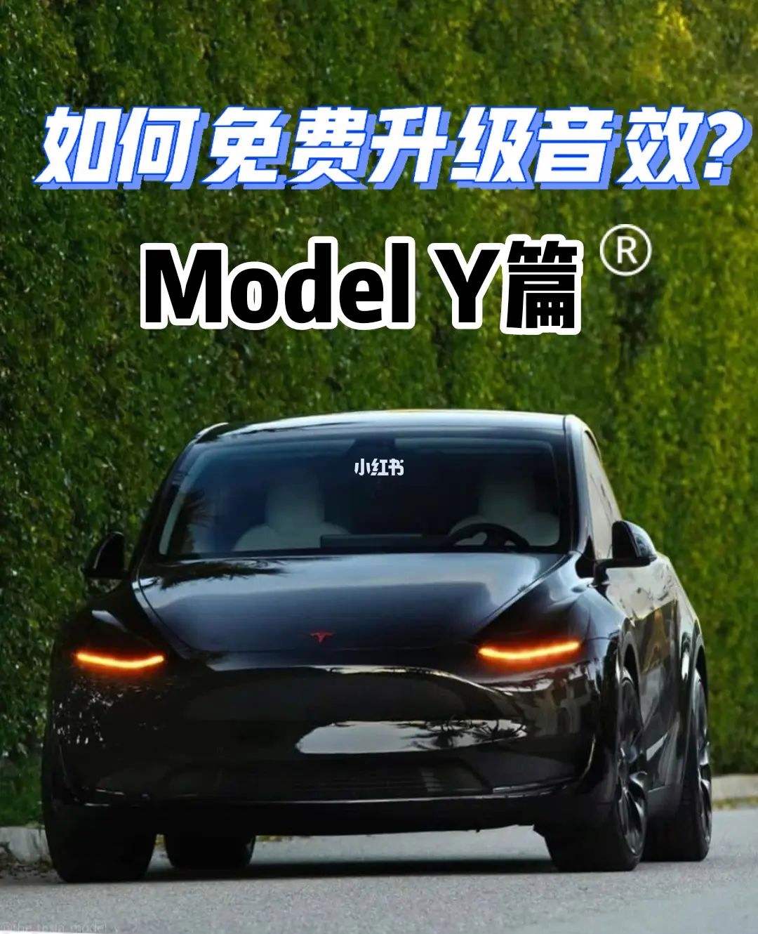 modely音响激活教程 model3音响激活多少钱