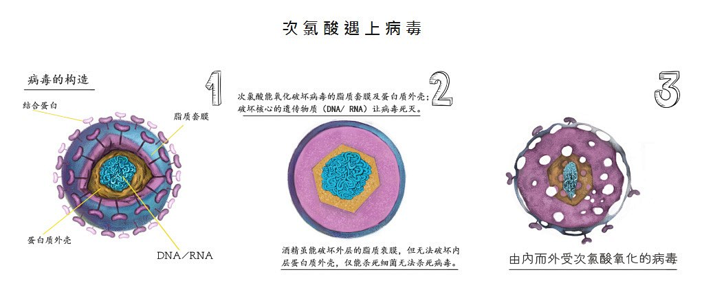 新冠病毒灭活病毒液的检验 新冠病毒灭活病毒液的检验标准