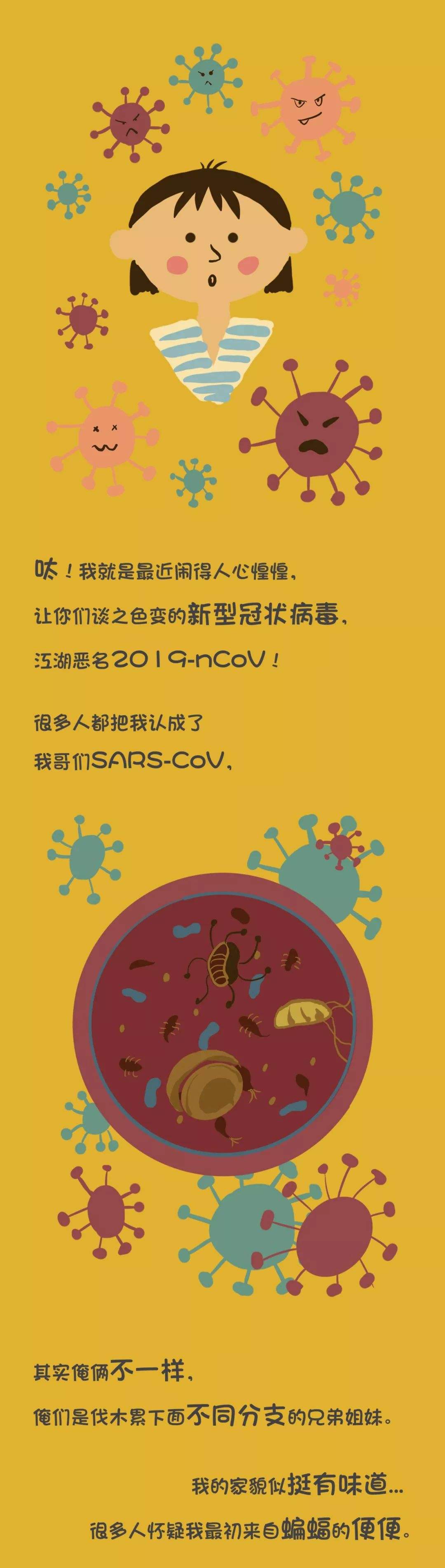 新冠病毒征文1300字 新冠病毒的议论文800字