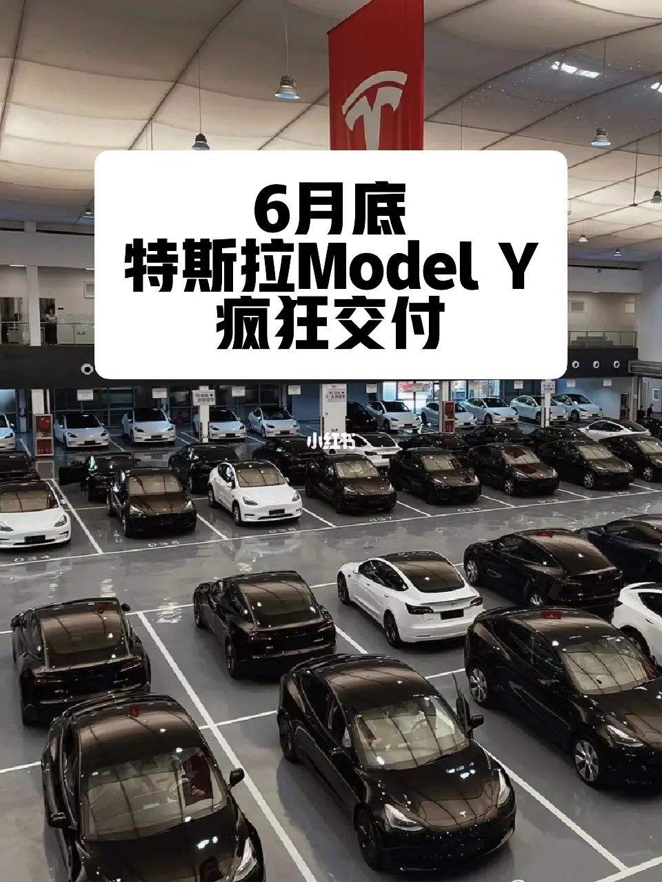 modely交付市场 model y准备车辆交付