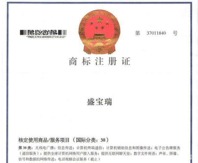 国家注册商标网 中国商标注册网查询