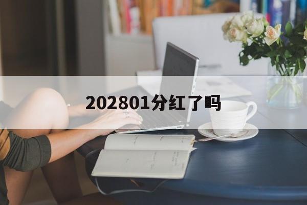 202801分红了吗 2020年161604分红吗