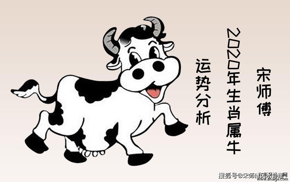 属牛的12月份运势 属牛的12月份运势怎么样