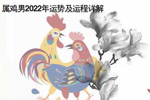 属鸡人在兔年运势大禅师 兔年属鸡人的运气怎么样?