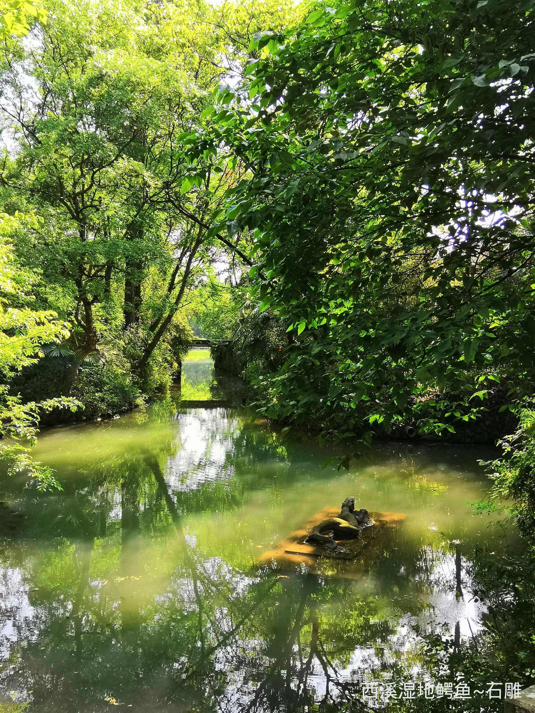 西溪湿地玩水 西溪湿地可以逛多久