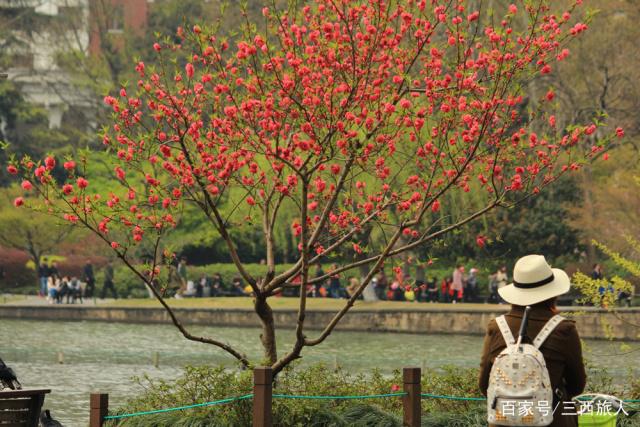 帝师西溪湿地 西溪湿地百家溇介绍