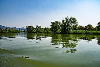 西溪湿地鸟瞰图 西溪湿地全景地图