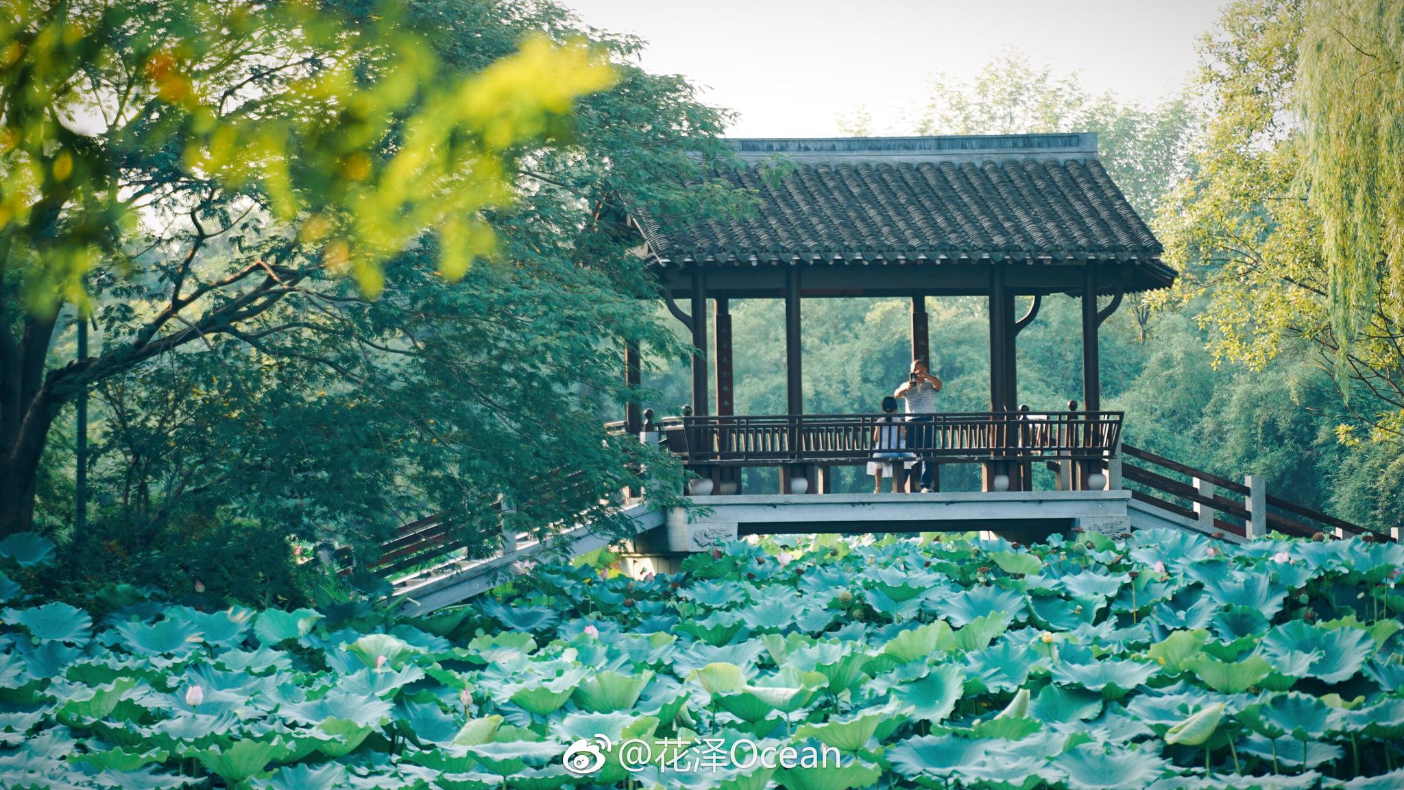 西溪湿地西红柿 西溪湿地网红打卡点