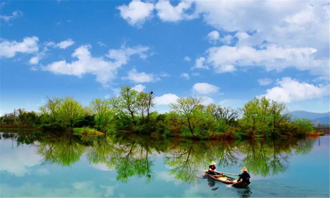 西溪湿地西红柿 西溪湿地网红打卡点