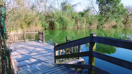 求婚西溪湿地 西溪湿地婚俗馆