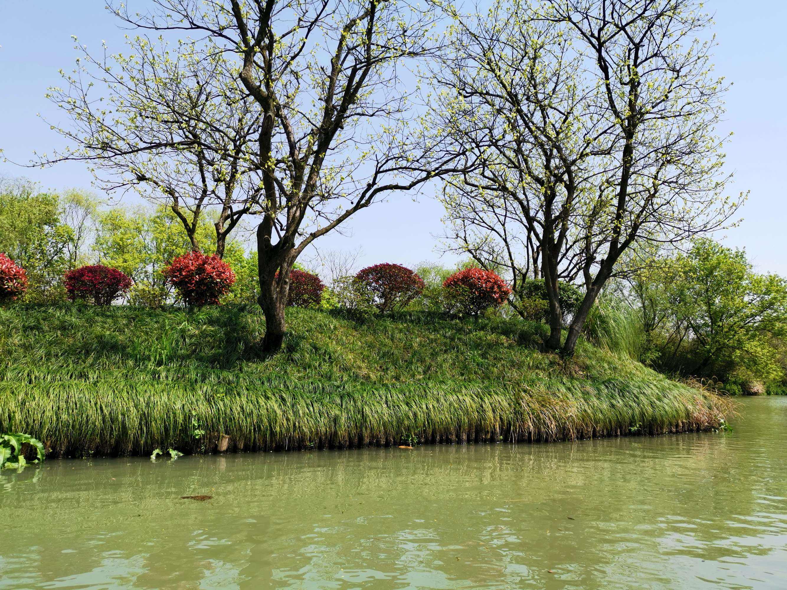 西溪湿地安静 西溪湿地 哪个门