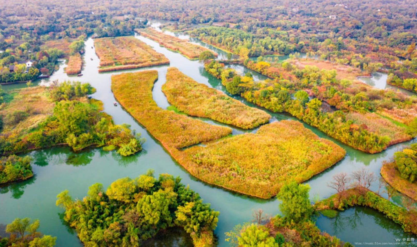 西溪湿地可以放飞吗 西溪湿地里面能开车吗