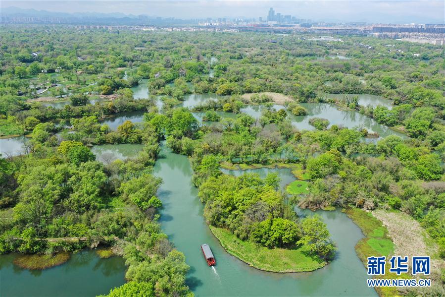 绕西溪湿地跑一圈 西溪湿地公园跑步路线