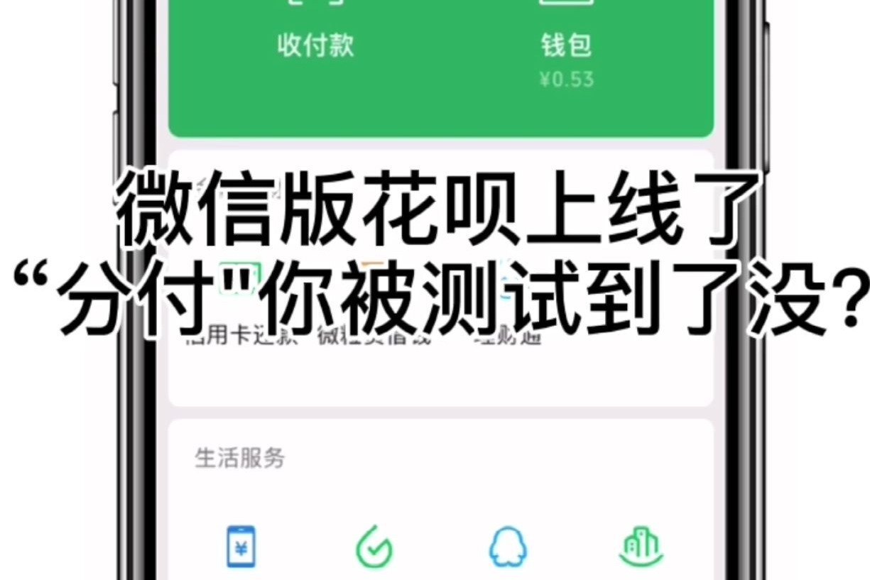 微信版分付怎么套现，方法分享 微信版分付怎么套现,方法分享给别人