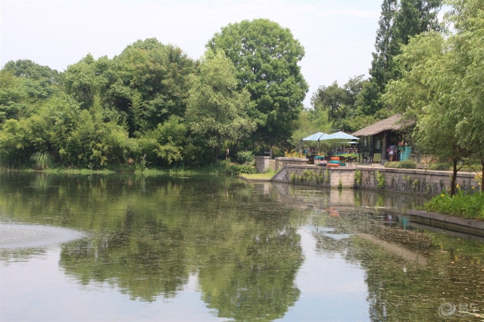 游西溪湿地 西溪湿地一日游最佳路线图