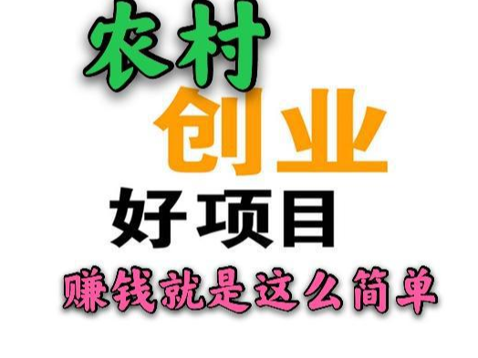 小本生意的特点 小本生意实属不易