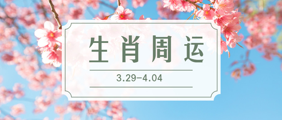 3月8日吉凶生肖兔 3月8日吉凶生肖兔运势