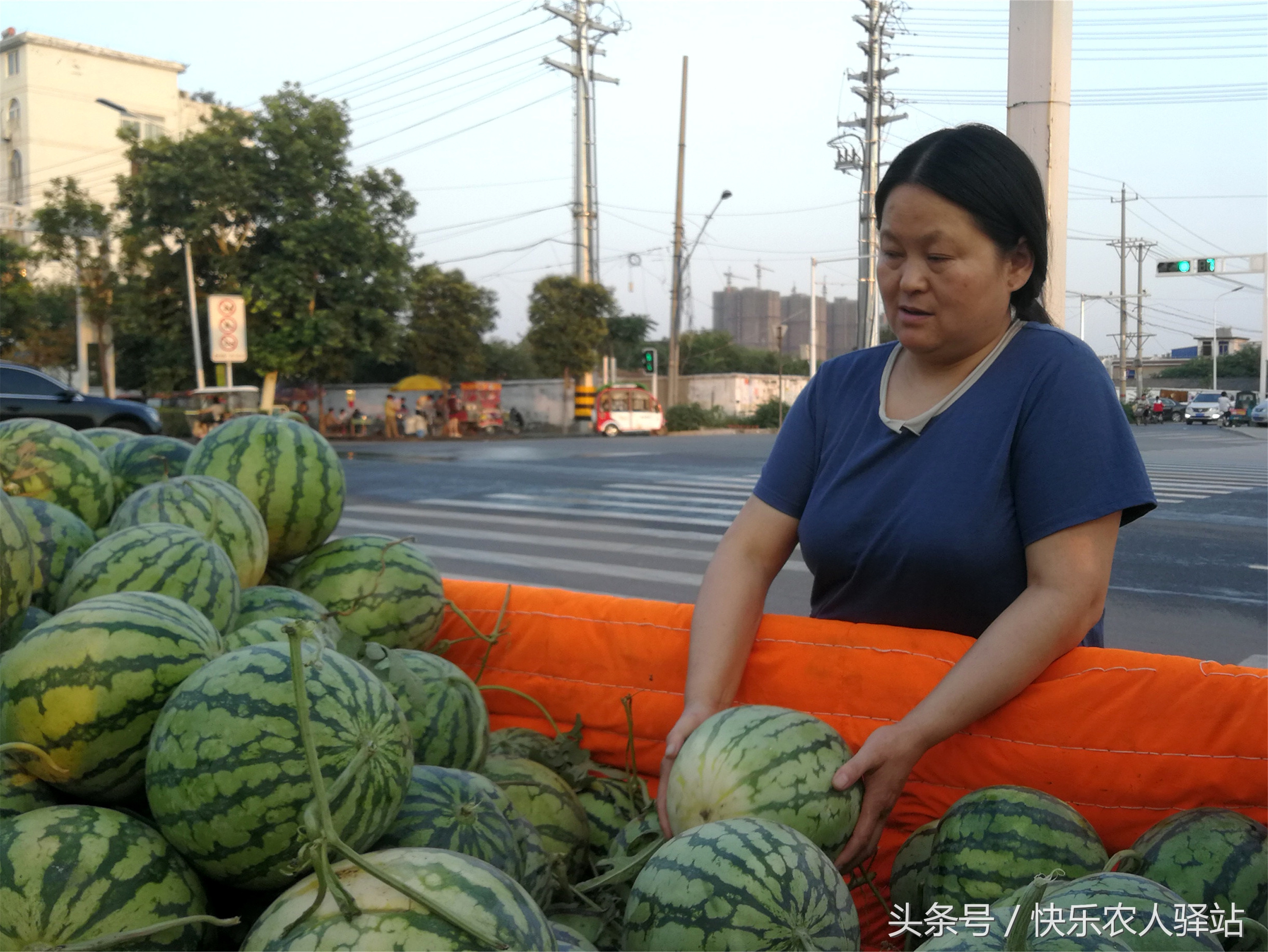 西培农场摆摊卖什么好 西培农场摆摊卖什么好卖