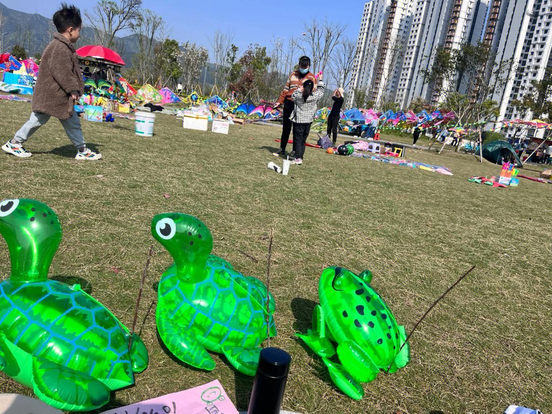 北京草地摆摊卖什么好 北京地区草坪用哪种草最好