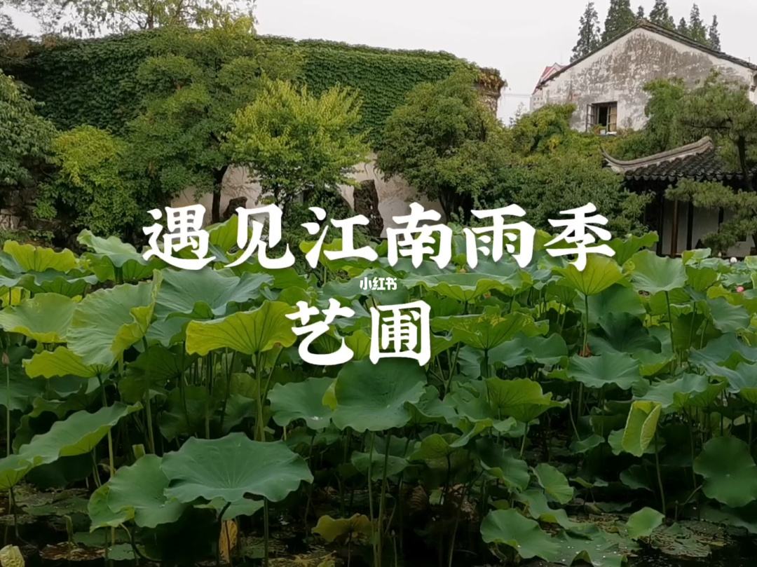 梅雨季苏州旅游攻略图片 苏州梅雨季节是什么时间2020