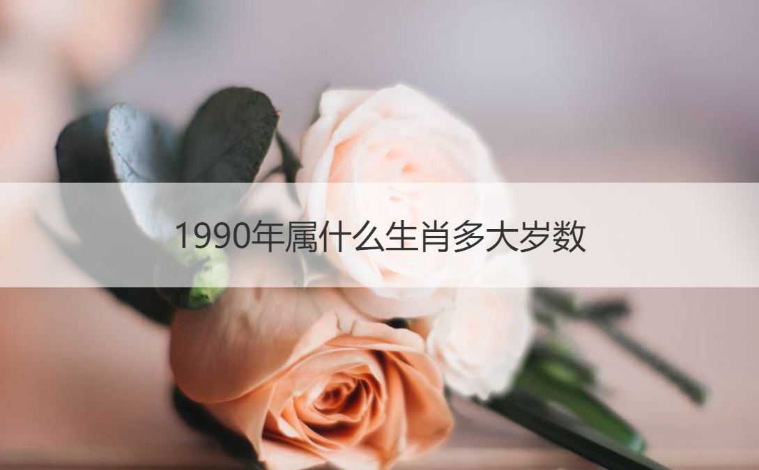 2001年属什么生肖的人 2001年属什么生肖的人最好命