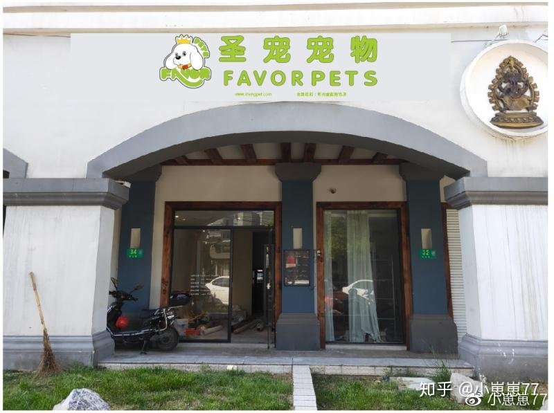 新手宠物店开店注意事项 没经验的新手开宠物店怎么样?