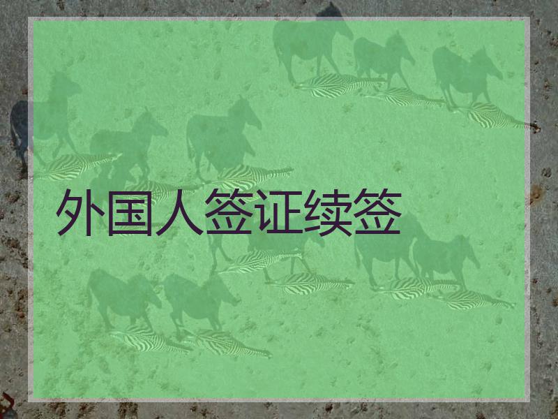 外国人在海南开办公司流程 外国人在海南开办公司流程视频