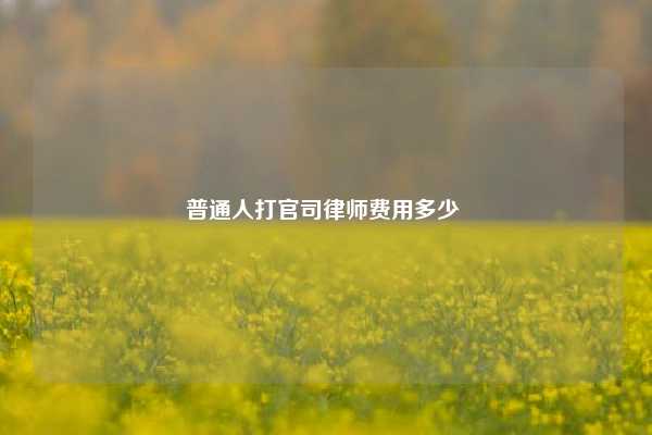 普通人打官司律师费用多少 