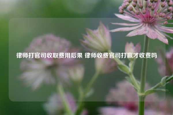 律师打官司收取费用后果 律师收费官司打赢才收费吗