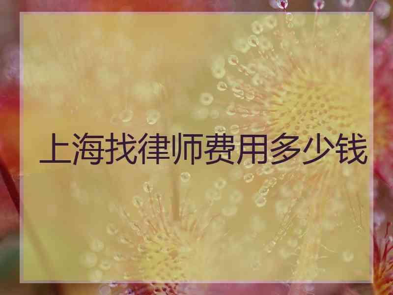 上海打官司律师费用标准 上海打官司律师费用标准最新