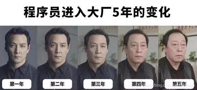 物业程序员是做什么的工作 物业程序员是做什么的工作呢