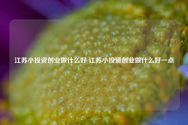 江苏小投资创业做什么好 江苏小投资创业做什么好一点