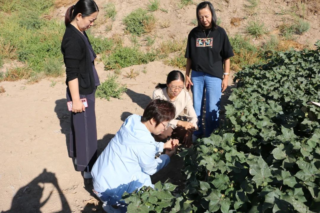 酒泉在家创业做什么好 酒泉在家创业做什么好呢