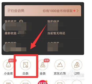 白条取现通过却不到账 白条为什么取现失败要多久才能取