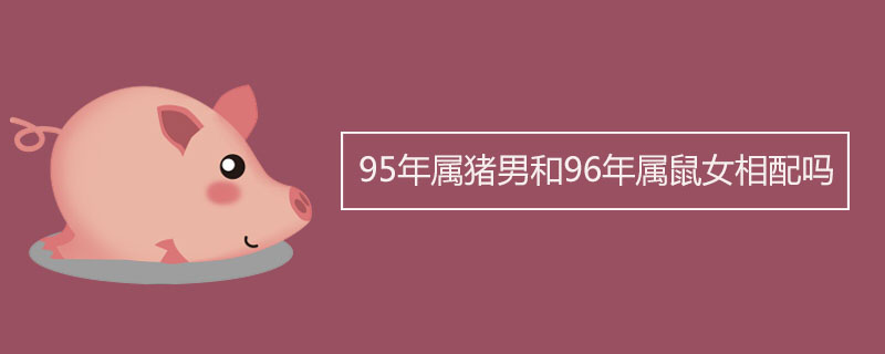 属猪女与属牛男相配吗 97牛男和95猪女八字合不合