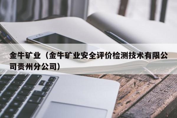 金牛矿业（金牛矿业安全评价检测技术有限公司贵州分公司）