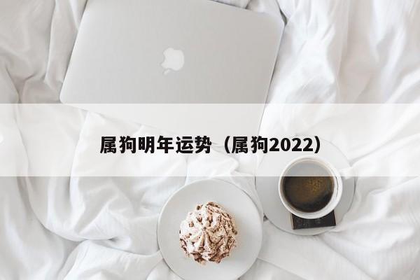 属狗明年运势（属狗2022）