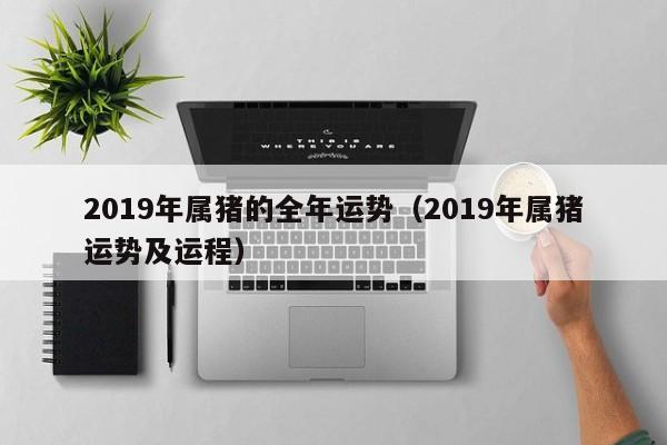 2019年属猪的全年运势（2019年属猪运势及运程）