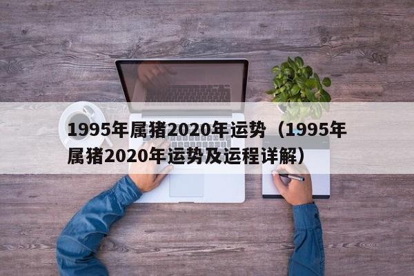 1995年属猪2020年运势（1995年属猪2020年运势及运程详解）