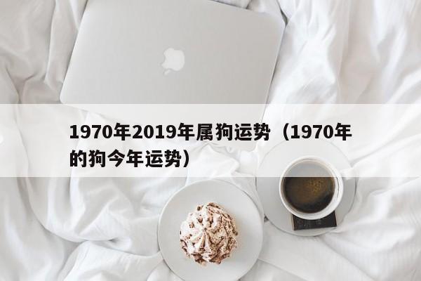 1970年2019年属狗运势（1970年的狗今年运势）